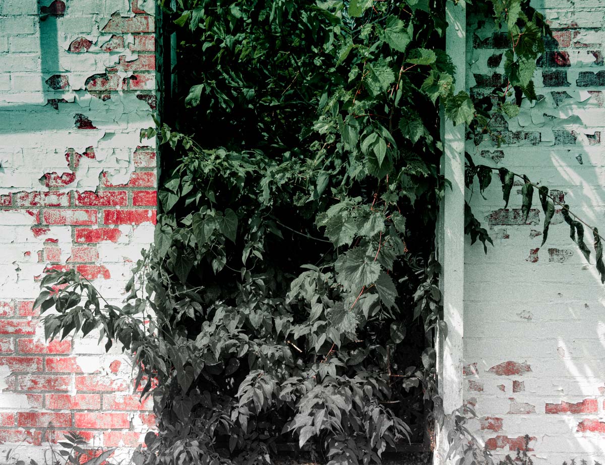 Cover Image for The State of American Politics