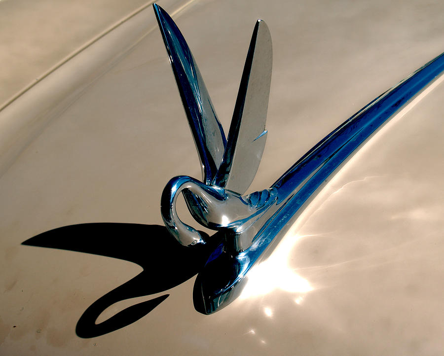 Cover Image for Drive Me 12