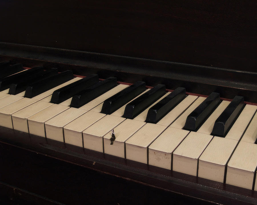 Cover Image for Expressive